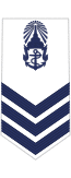 RTN OR-5 (Petty Officer 1st Class).svg