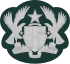Ghana-Army-OR-8.svg