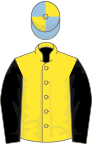 Yellow, black sleeves, yellow and light blue quartered cap