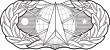 USAF - Occupational Badge - Space and Missile.svg