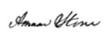 Signature of Amasa Stone, Jr.png