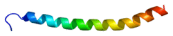 Protein ADCYAP1 PDB 2d2p.png