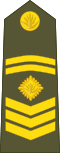 OR-5 insignia