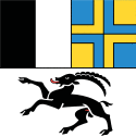 Flag of Three Leagues