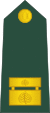 15-Slovenian Army-MAJ.svg