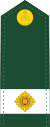 Canadian Army OF (D).svg