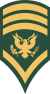 E-8 - SPC8.svg
