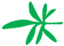 Leaf morphology pedate.png