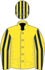 Yellow, dark blue striped sleeves and cap