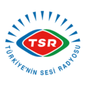 Voice of Turkey Logo.png