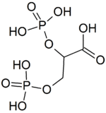 Structure of 2,3-bisphosphoglyceric acid.png