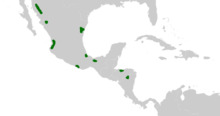 Dioon Distribution.png