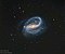 NGC7479 Goran Nilsson & The Liverpool Telescope.jpg