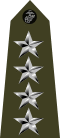 US Marine 10 shoulderboard vertical.svg
