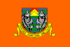 Flag of Ilhas Municipality.gif