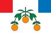 Flag of Lija.svg