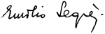 Emilio G Segrè signature.svg
