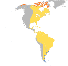 Calidris fuscicollis map.svg