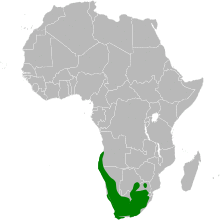 Certhilauda distribution map.svg