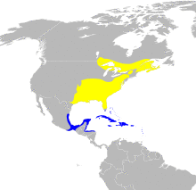 Parula americana map.svg