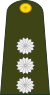 Argentina-Army-OF-2.svg