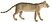 Felis chaus - 1700-1880 - Print - Iconographia Zoologica - Special Collections University of Amsterdam -(White Background).jpg