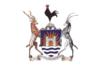 Flag of Mutare