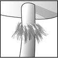 Cortina stipe icon.png