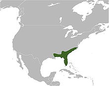 C. adamanteus map.jpg