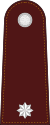 RTP OF-1a (Police Sub Lieutenant).svg