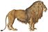 Felis leo - 1818-1842 - Print - Iconographia Zoologica - Special Collections University of Amsterdam -(White Background).jpg
