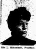 Ella Mahammitt - Enterprise - Saturday, April 4, 1896.png