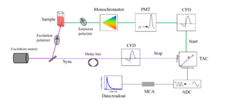 Schematic of a TCSPC setup