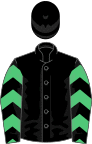 Black, emerald green chevrons on sleeves