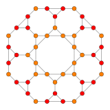 24-cell t12 B2.svg