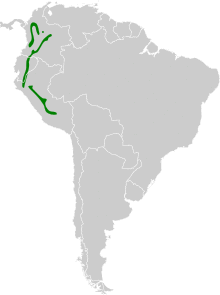 Conopophaga castaneiceps map.svg