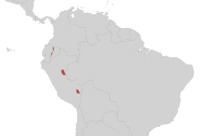 Epicrionops petersi area.png