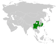 Pycnonotus xanthorrhous distribution map.png