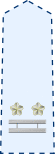 JASDF Lieutenant Colonel insignia (a).svg
