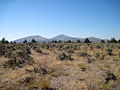 Crooked River sagebrush grassland.jpg
