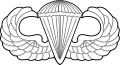 United States Air Force Parachutist Badge.svg