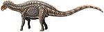 Dicraeosaurus hansemanni22.jpg
