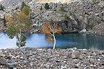 Naltar Blue lake Gilgit.JPG