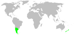 Distribution.mecysmaucheniidae.1.png
