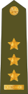 CzArmy 2011 OF5-Plukovnik shoulder.svg