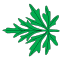 Palmatiséquée.svg