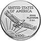American Platinum Eagle 2007 Rev.jpg