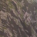 Lebanesecommandotigerstripes-squared.png