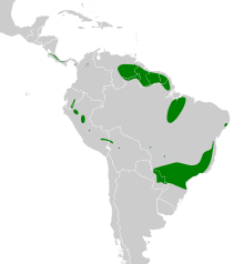 Oxyruncus cristatus map.svg