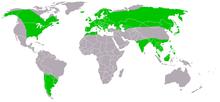 Sumpfohreule-Asio flammeus-World.png